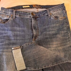 Kut from the Kloth Asher  women’s plus jeans